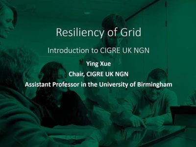 Researchers from UK & Italy share their research on Resiliency of Grid