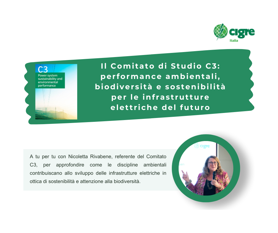CIGRE Inside – Intervista a Nicoletta Rivabene, referente del Comitato di Studio C3
